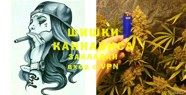 PSILOCYBIN Лихославль