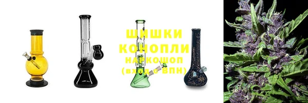 PSILOCYBIN Лихославль
