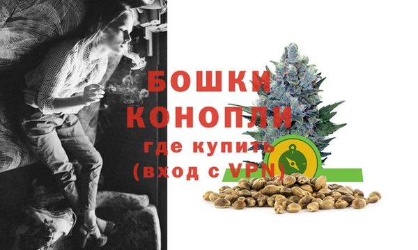 PSILOCYBIN Лихославль