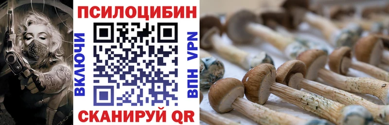 Псилоцибиновые грибы ЛСД  блэк спрут   Южа 