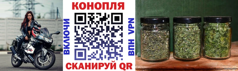 магазин продажи   даркнет наркотические препараты  Бошки Шишки Amnesia  Южа 